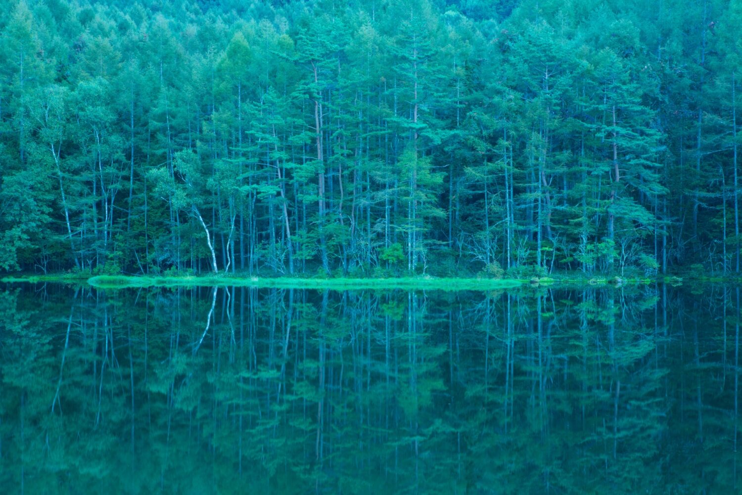 東山魁夷とは？来歴や画風、代表作について詳しく解説します！