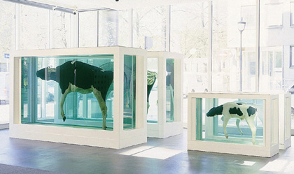 母と子、分断されて