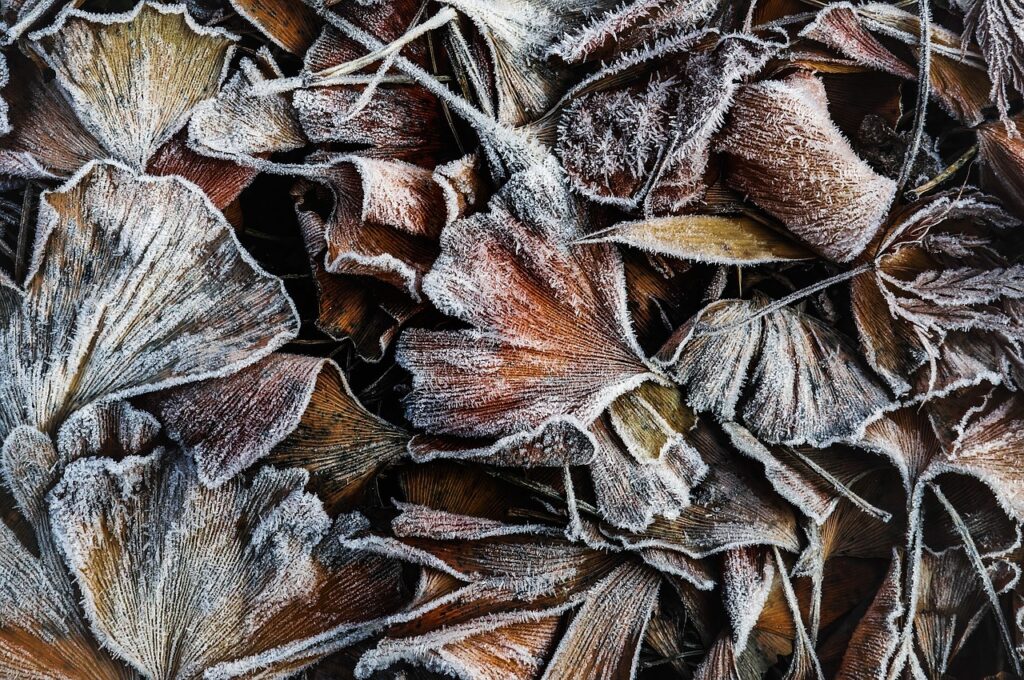 冬をテーマにした有名な絵画7選